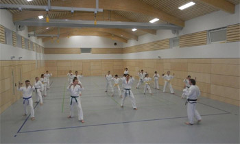 Abteilung Taekwondo
