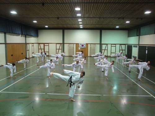 Taekwondo 2012