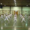 Taekwondo 2012